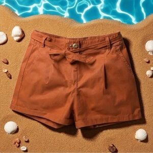 Forever 21 High Waist Terracotta Shorts